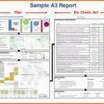 Original Sample A3 Report Plan Do