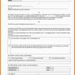 Original Selbstauskunft Mieter Muster Zum Download