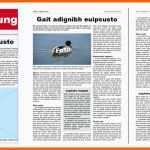 Original Vorlage Für Eine Zeitung A4 Für Adobe Indesign