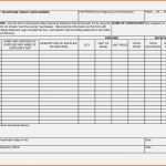 Perfekt 13 Fabelhaft Cash Flow Excel Vorlage Kostenlos Bilder