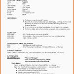 Perfekt 18 Cv English Vorlage