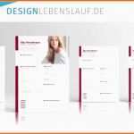 Perfekt Bewerbung Englisch Vorlage Mit Cv Und Cover Letter In Word