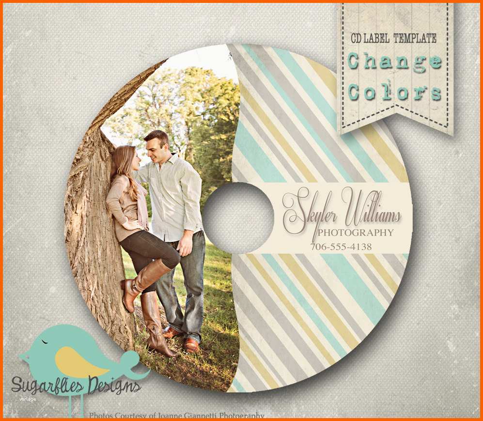 Perfekt Cd Dvd Label Photoshop Template Dvd Label 8