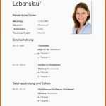 Perfekt [einfacher Tabellarischer Lebenslauf] 100 Images 15