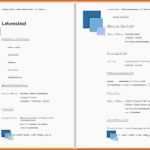 Perfekt Lebenslauf Vorlage Openoffice Kostenlos Download