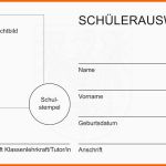 Perfekt Schülerausweis Brandenburg Scheckkartenformat Seibert