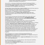 Phänomenal 16 Tagesberichte Praktikum