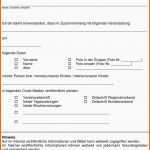 Phänomenal 17 Projektarbeit Muster