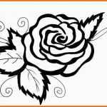 Phänomenal Ausmalen Malvorlagen Gratis Ausdrucken Rose Blumen Motive