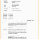 Phänomenal Besprechungsprotokoll Vorlage Excel Schn Arbeitsblatt