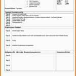 Phänomenal Besprechungsprotokoll Vorlage Word Erstaunliche 5