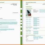 Phänomenal Bewerbungsvorlagen Für Libreoffice
