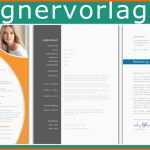 Phänomenal Cv Example with Covering Letter for Ms Word