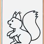 Phänomenal Eichhörnchen Basteln Vorlage Wunderbar Malvorlage