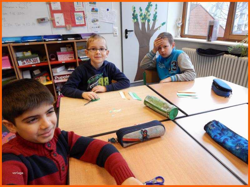 Phänomenal Grundschule Hahle Ein Baum Voller Leben ...