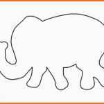 Phänomenal Malvorlage Elefant Einfach Rooms Project Rooms Project
