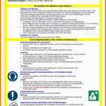 Phänomenal Muster Betriebsanweisungen Plus Die Neue software
