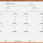 Phänomenal Stammbaum Vorlage Pdf Elegant tolle Stammbaum Bildet