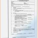 Phänomenal Testament Kostenlos Ausdrucken Kinderbilder Download