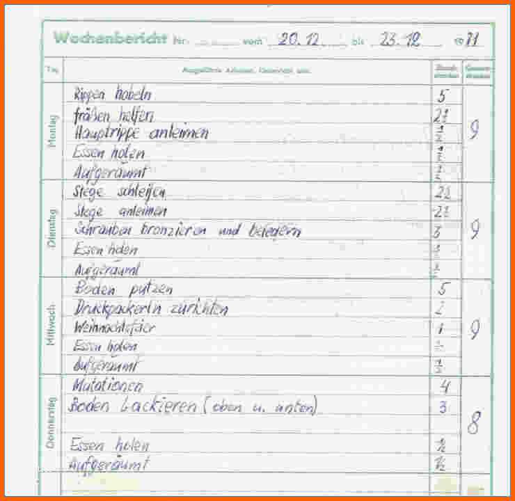 Schockieren 13 Bau Tagesbericht Vorlage