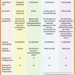 Schockieren 13 Investitionsplan Vorlage