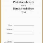 Schockieren 13 Praktikumsbericht Vorlage Pdf