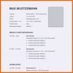 Schockieren 15 Uni Lebenslauf Muster