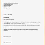 Schockieren 38 Genial Arbeitszeugnis Kündigung In Probezeit Vorlage