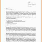 Schockieren Arbeitszeugnis
