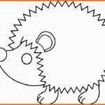 Schockieren Ausmalbilder Igel 25