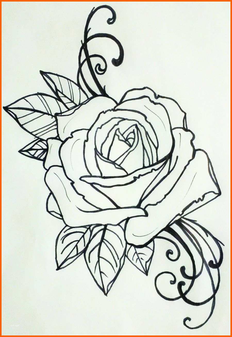 Schockieren Bildergebnis Für Rose Tattoo In N