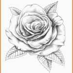 Schockieren Die Besten 25 Tattoo Pferd Ideen Auf Pinterest