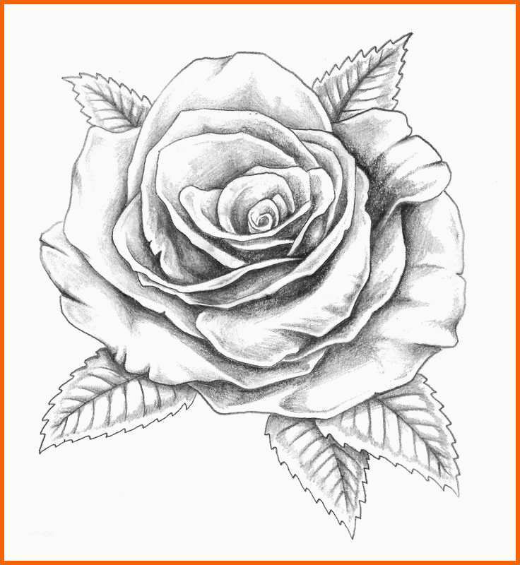Schockieren Die Besten 25 Tattoo Pferd Ideen Auf Pinterest