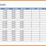 Schockieren Inspirierende formlose Gewinnermittlung Vorlage Excel