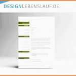 Schockieren Lebenslauf Vorlage Design Für Word Und Open Fice