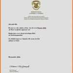 Schockieren Lunas Träumereien Hogwarts Akzeptanz Brief