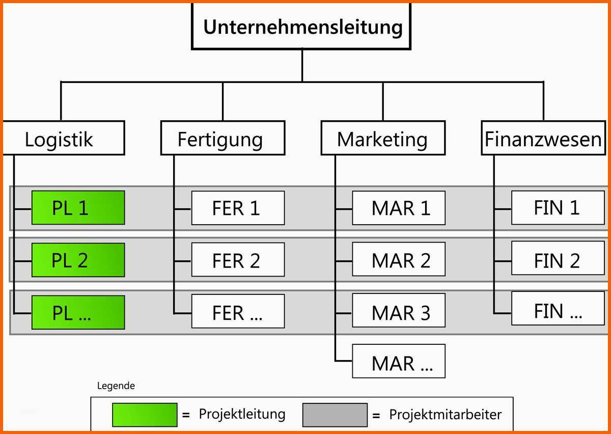 Schockieren Matrix Projektorganisation