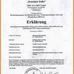 Schockieren Rohs Konformitatserklarung Vorlage Vorlagen Frei Gestalten