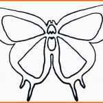Schockieren Schmetterling Schablone Vorlage