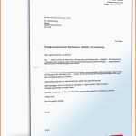 Schockieren Versicherung Kündigen Vorlage Allianz