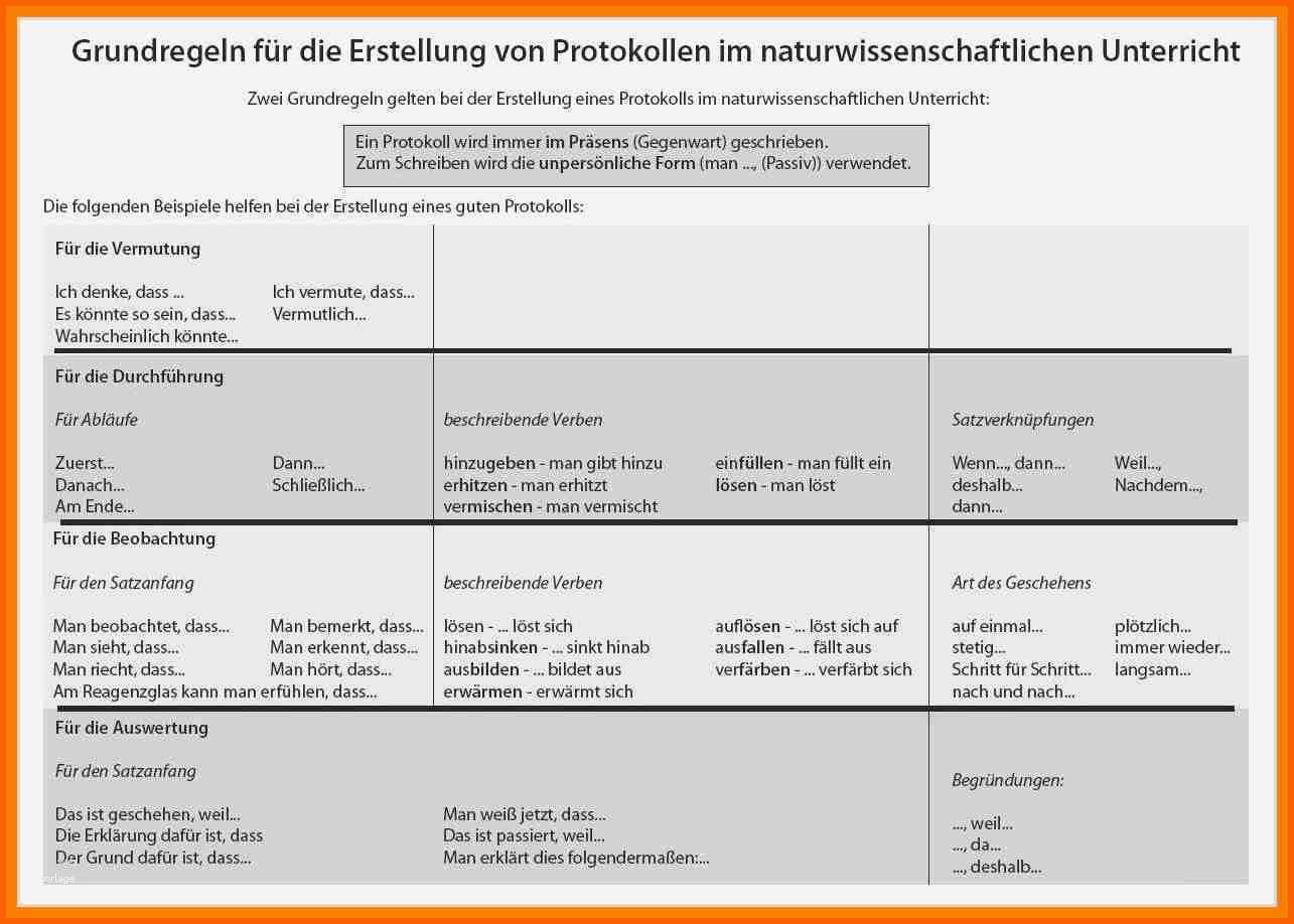 Selten 8 Protokoll Schreiben Beispiel