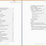 Selten Business Plan Berater Trainer Coach