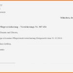 Selten Der Große Ratgeber Zur Pflegeversicherung Experte24