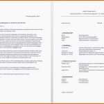 Selten Die Erstaunliche Bachelorarbeit Vorlage