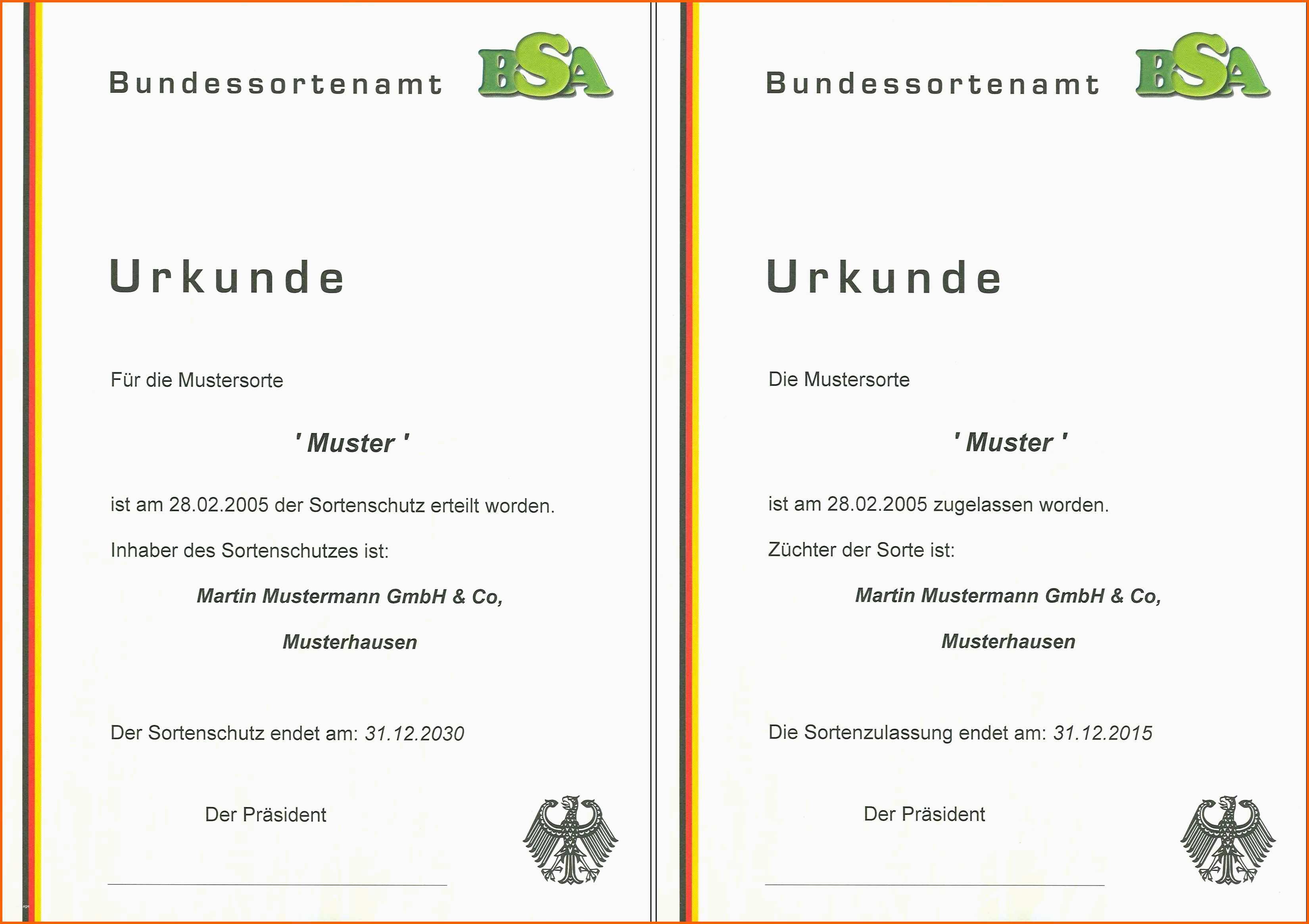 Selten Download Vorlagen – Page 50 – Druckbare Vorlagen Herunterladen