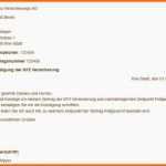 Selten Energyvisionfo