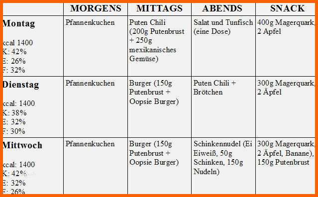 Selten Ernährungsplan Vorlage Muskelaufbau Neu Mein Persönlicher