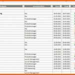 Selten Excel Projektmanagement Vorlage Als Kostenloser Download