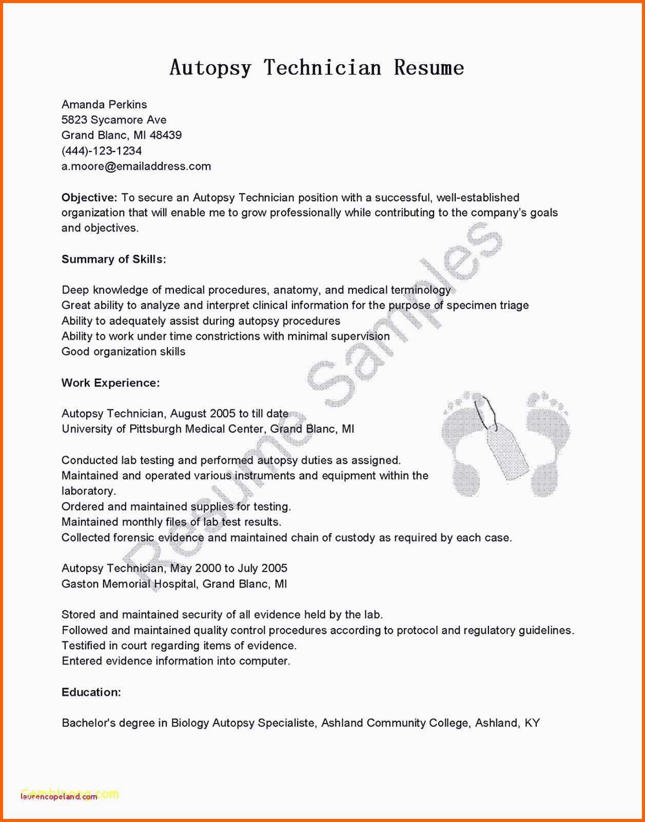 Selten Fragebogen Vorlage Download Inspirierende Microsoft Word