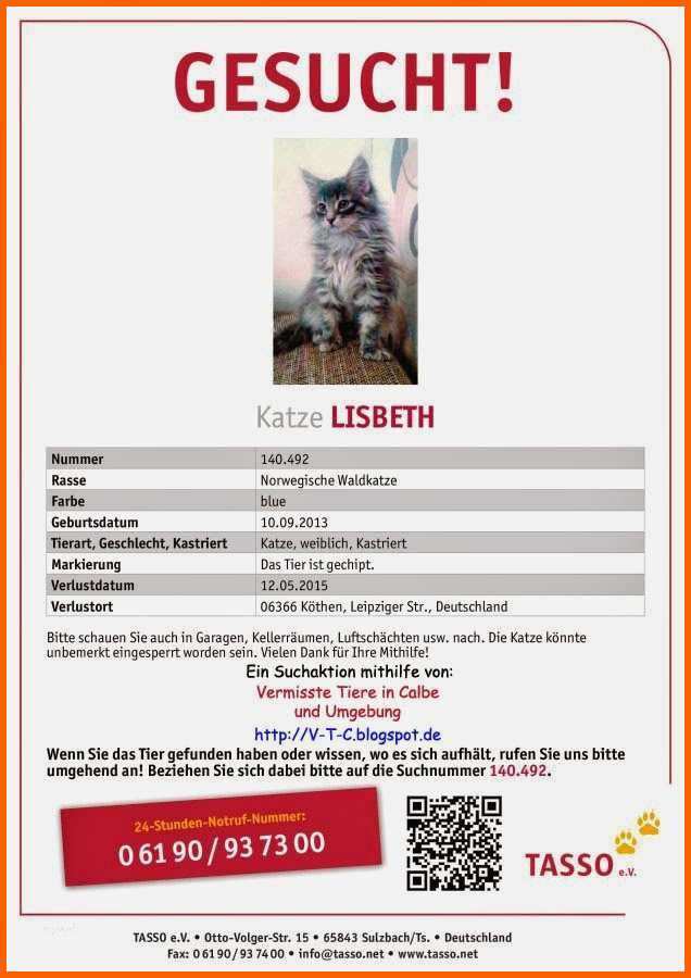 Selten Katze Vermisst Vorlage Presti Rächtiges